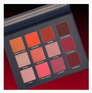 Ace Beaute Scarlet Dusk Palette
